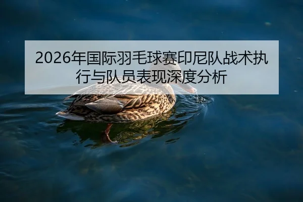 2026年国际羽毛球赛印尼队战术执行与队员表现深度分析