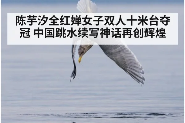 陈芋汐全红婵女子双人十米台夺冠 中国跳水续写神话再创辉煌